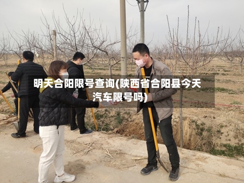 明天合阳限号查询(陕西省合阳县今天汽车限号吗)