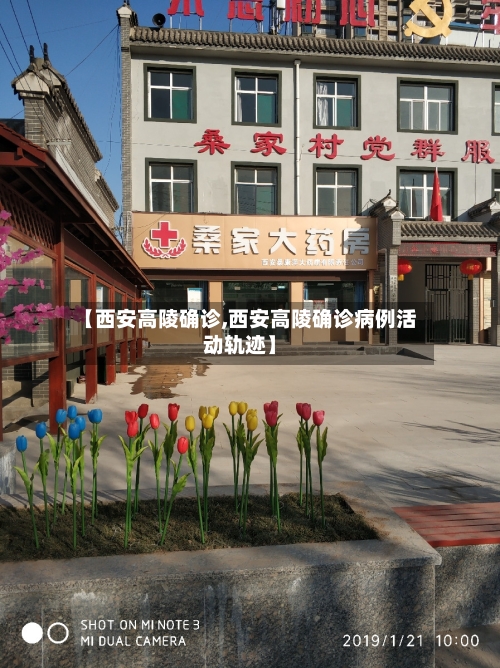 【西安高陵确诊,西安高陵确诊病例活动轨迹】