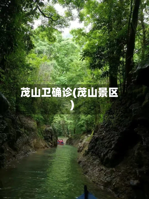 茂山卫确诊(茂山景区)