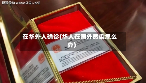 在华外人确诊(华人在国外感染怎么办)-第3张图片