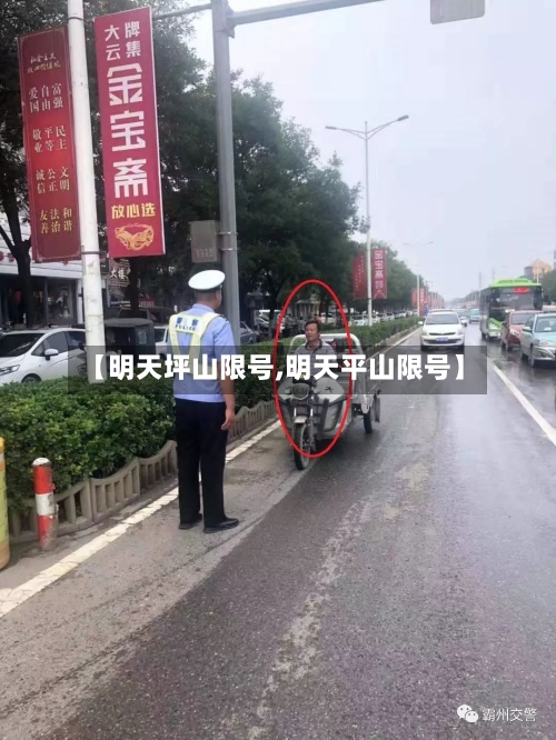 【明天坪山限号,明天平山限号】-第2张图片