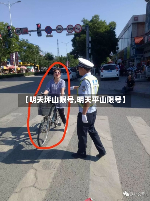 【明天坪山限号,明天平山限号】