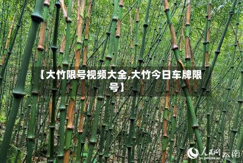 【大竹限号视频大全,大竹今日车牌限号】-第3张图片