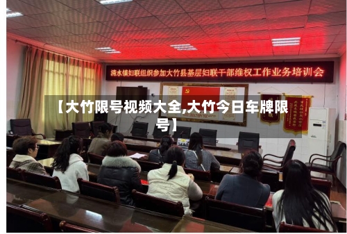 【大竹限号视频大全,大竹今日车牌限号】-第2张图片