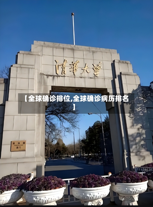 【全球确诊排位,全球确诊病历排名】-第3张图片