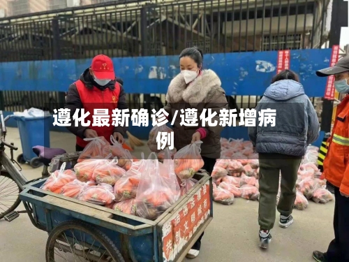 遵化最新确诊/遵化新增病例