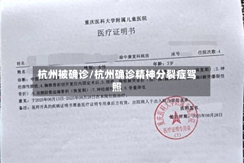 杭州被确诊/杭州确诊精神分裂症驾照-第2张图片