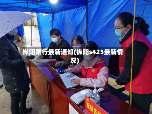 枞阳限行最新通知(枞阳s425最新情况)-第3张图片