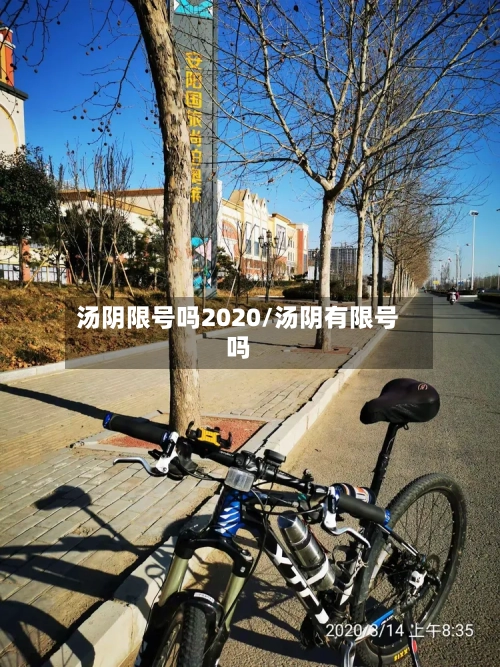 汤阴限号吗2020/汤阴有限号吗