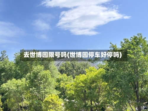 去世博园限号吗(世博园停车好停吗)-第2张图片