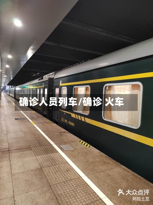 确诊人员列车/确诊 火车-第3张图片