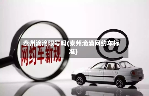 泰州滴滴限号吗(泰州滴滴网约车标准)-第3张图片