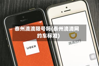 泰州滴滴限号吗(泰州滴滴网约车标准)-第2张图片