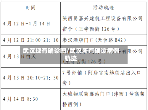 武汉现有确诊图/武汉所有确诊病例轨迹-第2张图片
