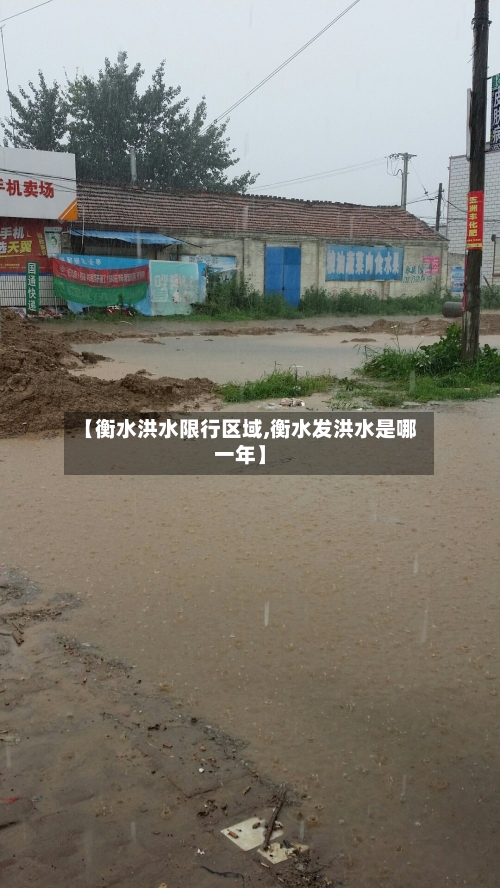 【衡水洪水限行区域,衡水发洪水是哪一年】