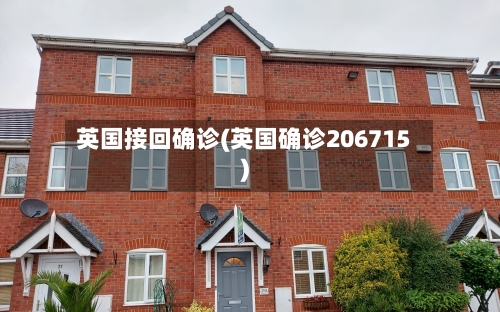 英国接回确诊(英国确诊206715)
