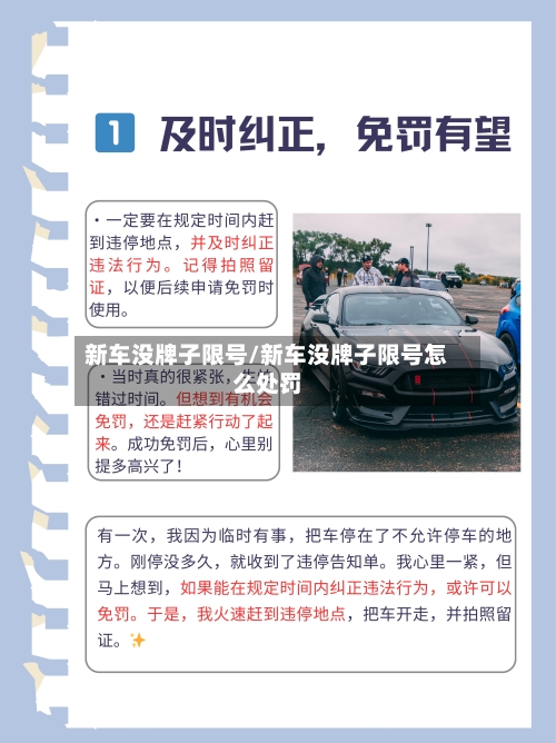 新车没牌子限号/新车没牌子限号怎么处罚