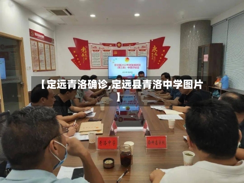 【定远青洛确诊,定远县青洛中学图片】