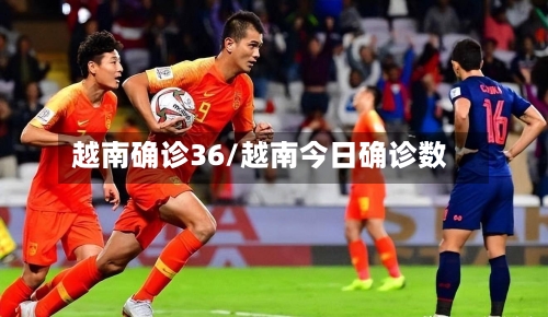 越南确诊36/越南今日确诊数
