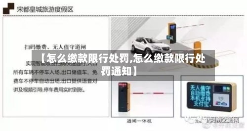 【怎么缴款限行处罚,怎么缴款限行处罚通知】-第2张图片