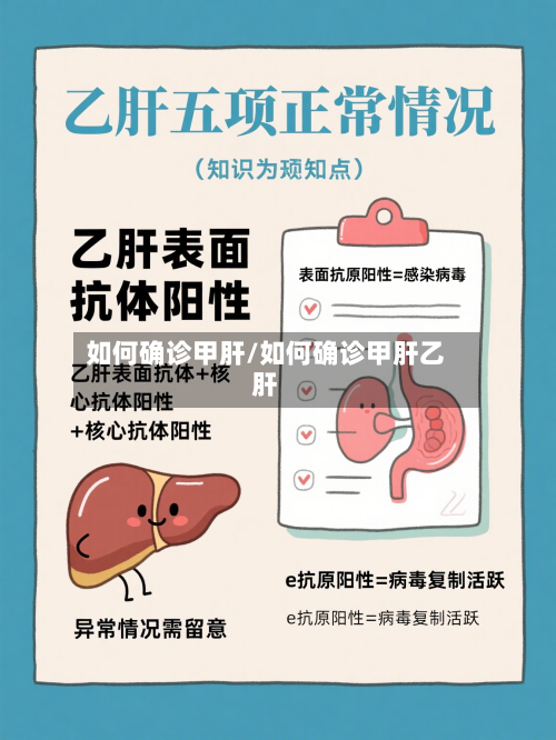 如何确诊甲肝/如何确诊甲肝乙肝