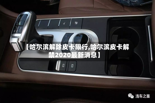 【哈尔滨解除皮卡限行,哈尔滨皮卡解禁2020最新消息】-第2张图片