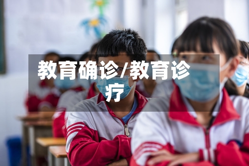 教育确诊/教育诊疗-第2张图片