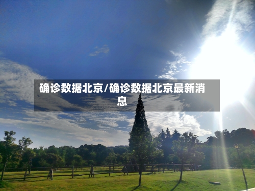 确诊数据北京/确诊数据北京最新消息-第3张图片