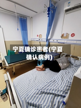 宁夏确诊患者(宁夏确认病例)-第2张图片