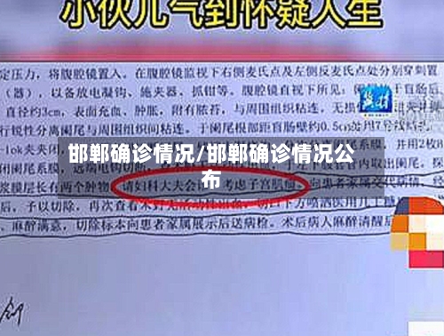 邯郸确诊情况/邯郸确诊情况公布