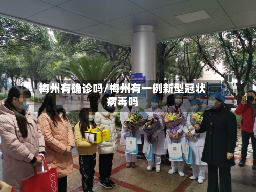 梅州有确诊吗/梅州有一例新型冠状病毒吗-第2张图片