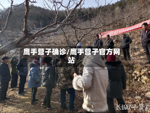 鹰手营子确诊/鹰手营子官方网站-第3张图片
