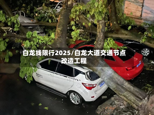 白龙线限行2025/白龙大道交通节点改造工程