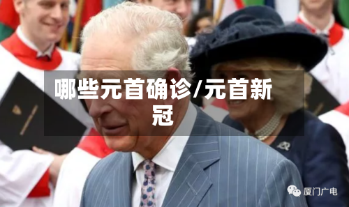 哪些元首确诊/元首新冠