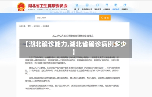 【湖北确诊能力,湖北省确诊病例多少】-第2张图片