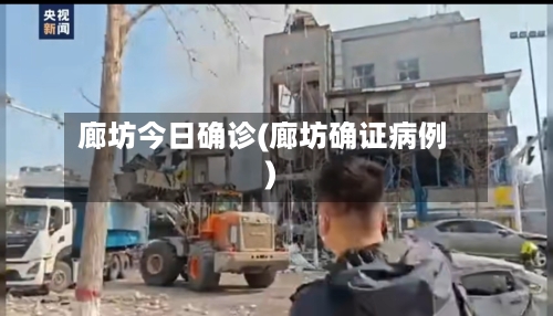 廊坊今日确诊(廊坊确证病例)-第3张图片
