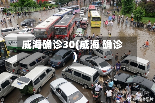 威海确诊30(威海 确诊)-第2张图片