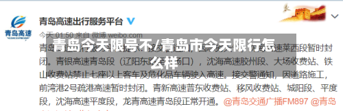 青岛今天限号不/青岛市今天限行怎么样-第2张图片