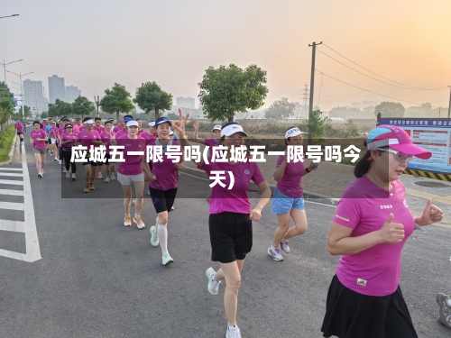 应城五一限号吗(应城五一限号吗今天)