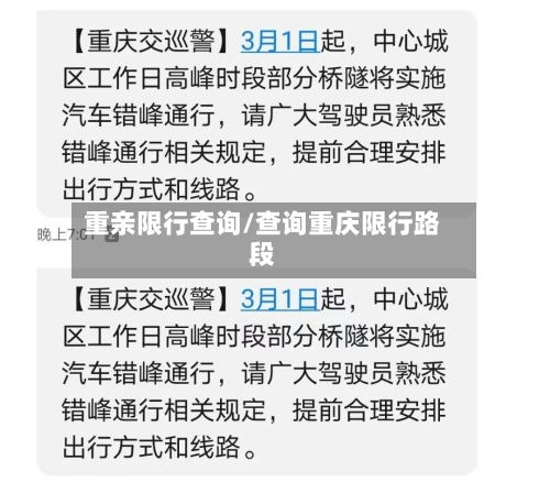 重亲限行查询/查询重庆限行路段-第2张图片