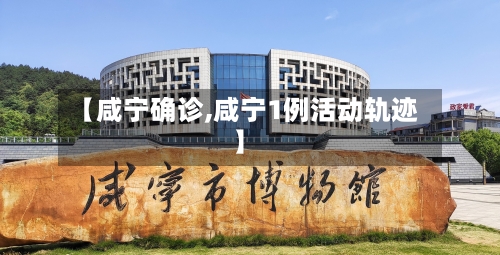 【咸宁确诊,咸宁1例活动轨迹】-第2张图片