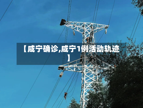 【咸宁确诊,咸宁1例活动轨迹】-第3张图片