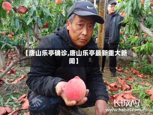 【唐山乐亭确诊,唐山乐亭最新重大新闻】