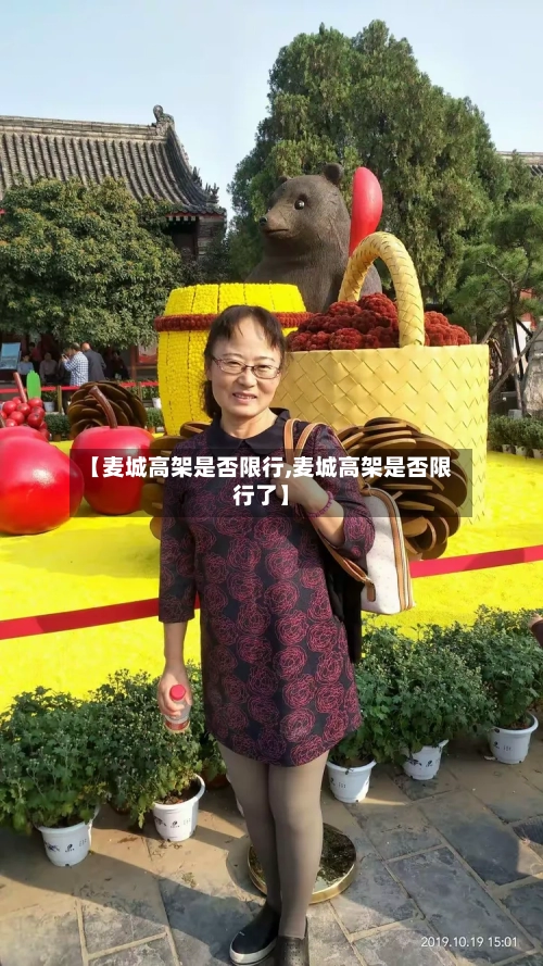 【麦城高架是否限行,麦城高架是否限行了】-第3张图片