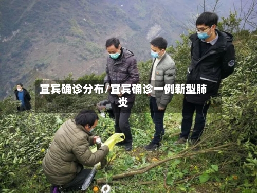 宜宾确诊分布/宜宾确诊一例新型肺炎