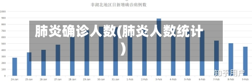肺炎确诊人数(肺炎人数统计)-第3张图片