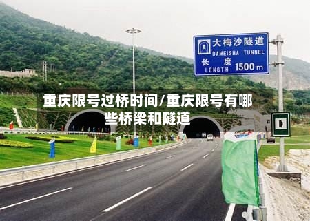 重庆限号过桥时间/重庆限号有哪些桥梁和隧道-第2张图片