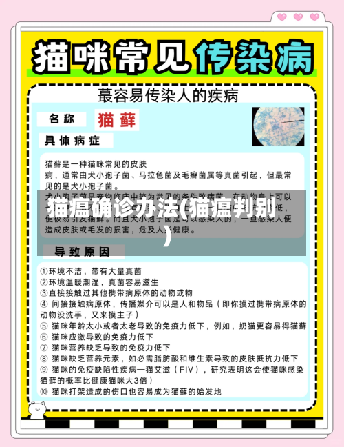 猫瘟确诊办法(猫瘟判别)