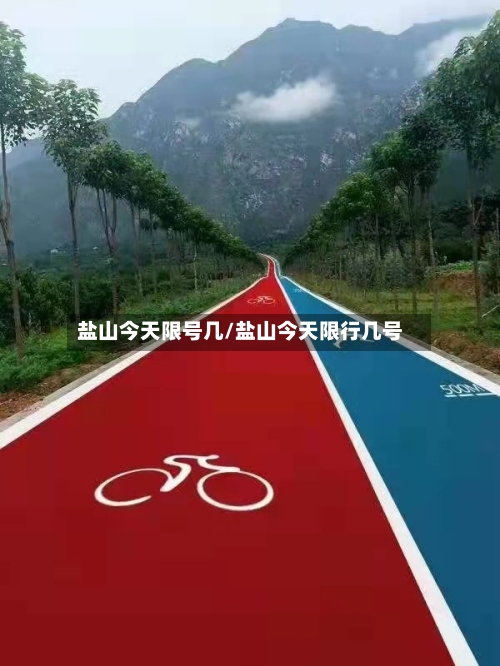 盐山今天限号几/盐山今天限行几号-第3张图片
