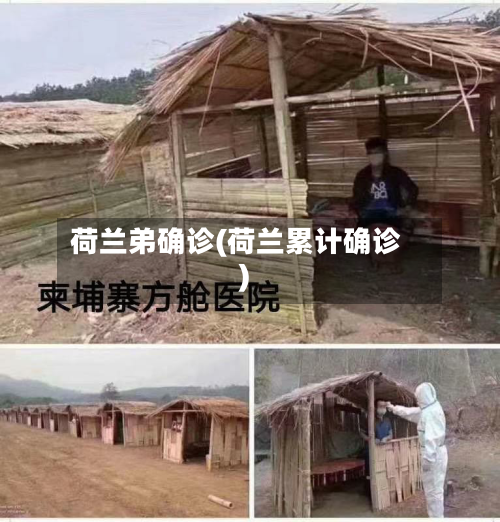 荷兰弟确诊(荷兰累计确诊)